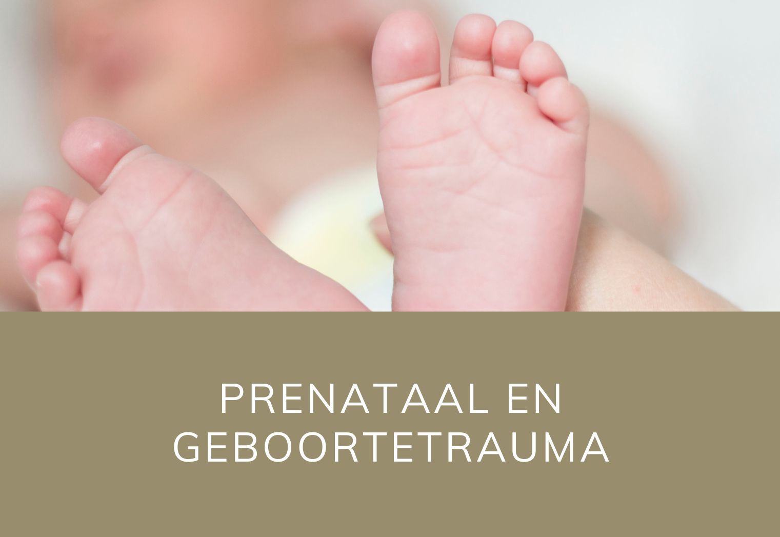 Blog foto Prenataal en Geboortetrauma Clover Coach Lisa