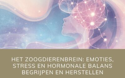 Het zoogdierenbrein: emoties, stress en hormonale balans